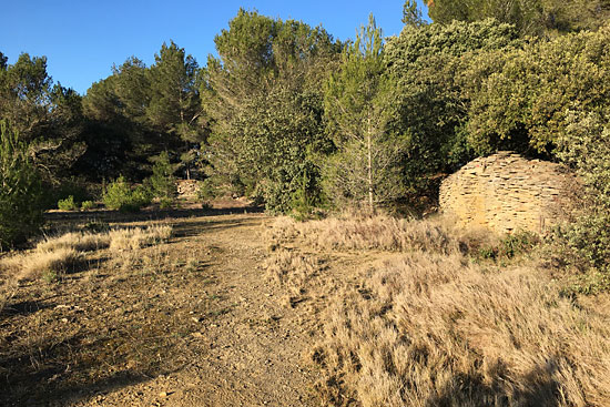Au-fil-de-ma-nature-psychotherapie-sur-les-sentiers-du-minervois